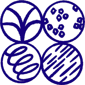 SAS Cosmetics